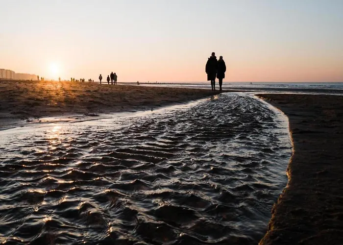 Met Zeezicht In Ostend