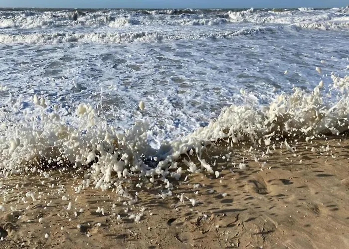 Met Zeezicht In * Ostend