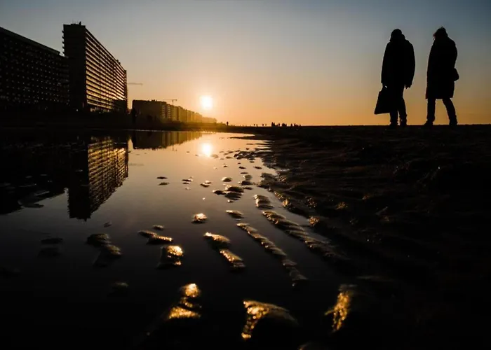 Met Zeezicht In Ostend
