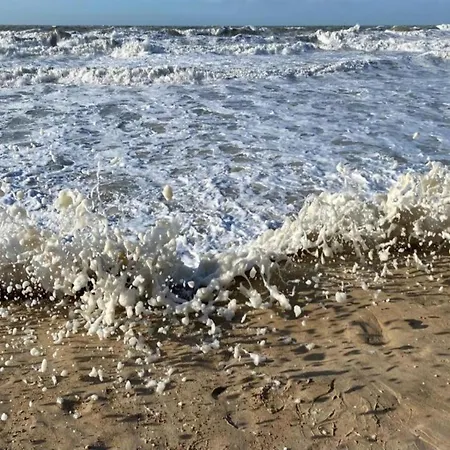 Met Zeezicht In * Остенде