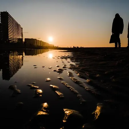 Met Zeezicht In Остенде